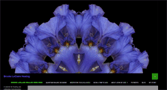 Desktop Screenshot of nossolarhealing.com